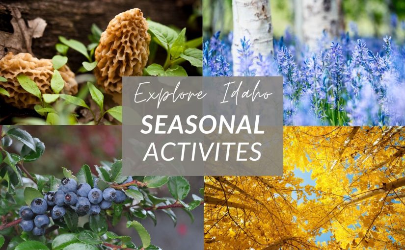Idaho’s Year of Wonder: A Guide to Seasonal Activities