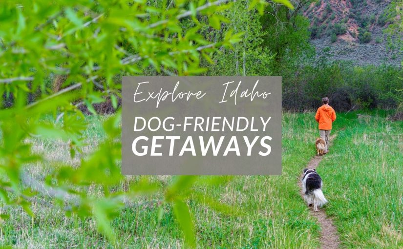 Paws & Paths: Dog-Friendly Idaho Getaways